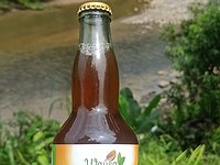 Bebida Gaseosa de Guayusa 330 ML