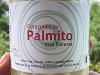 Palmito en conserva